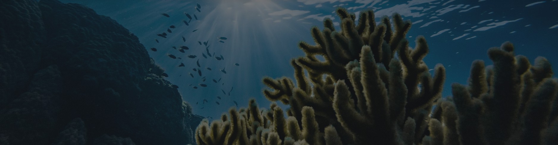 NeoTru Industrial Factory - Professional Special Vehicle Manufacturer